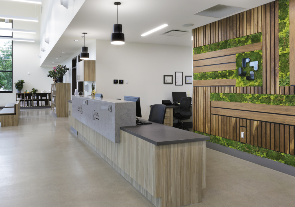 An image of P3A's Careport Animal Hospital project.