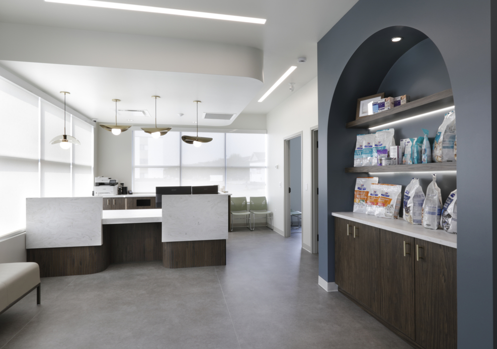 An image of P3A's Chuka Animal Clinic project.