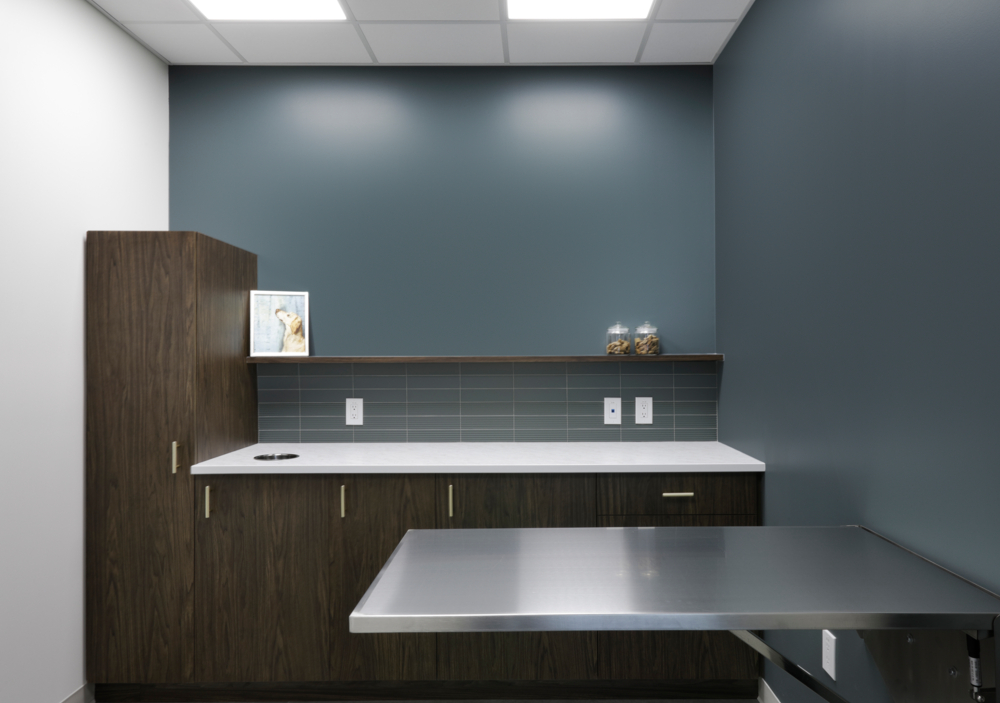 An image of P3A's Chuka Animal Clinic project.