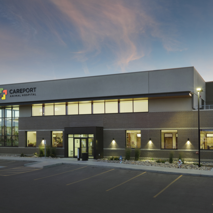 An image of P3A's Careport Animal Hospital project.