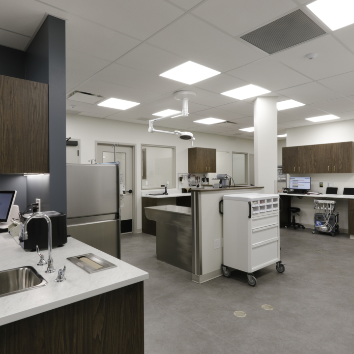 An image of P3A's Chuka Animal Clinic project.