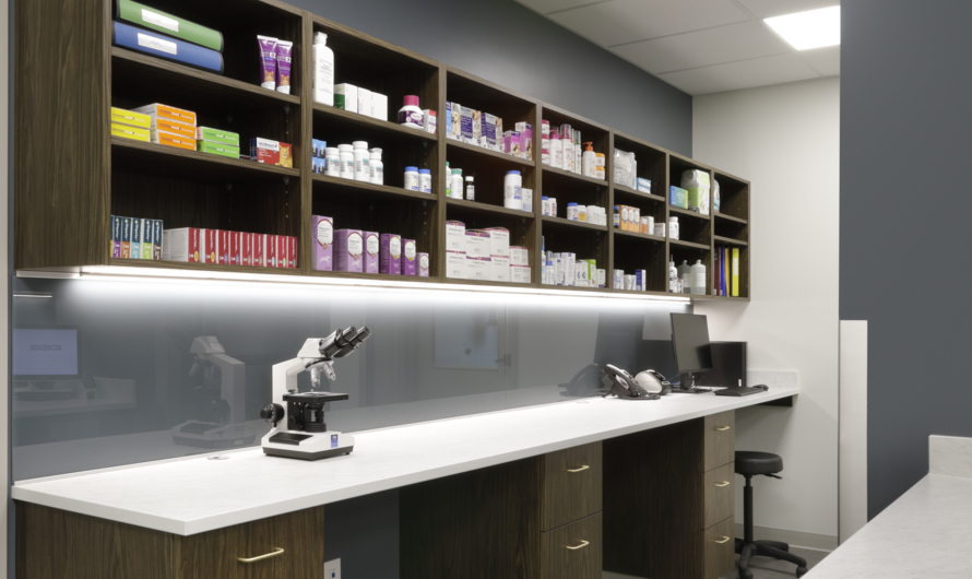 An image of P3A's Chuka Animal Clinic project.