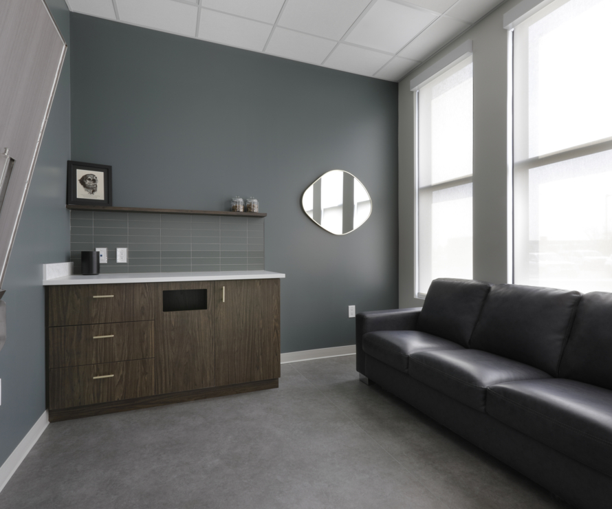 An image of P3A's Chuka Animal Clinic project.